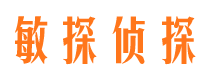 细河侦探公司